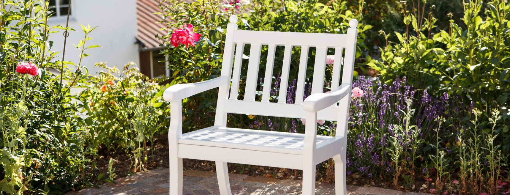 Freien Garten Geschäft -Freien Garten Geschäft dfgdg